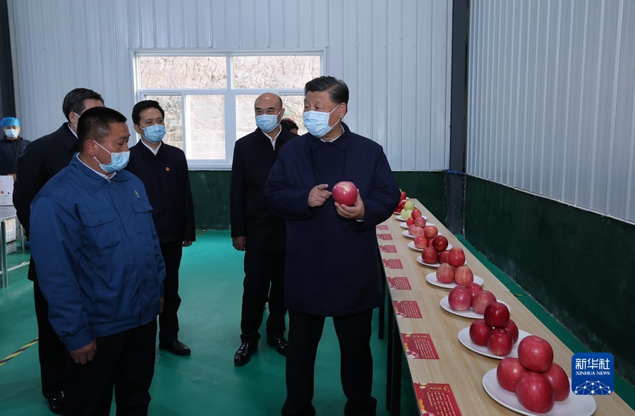 图片11